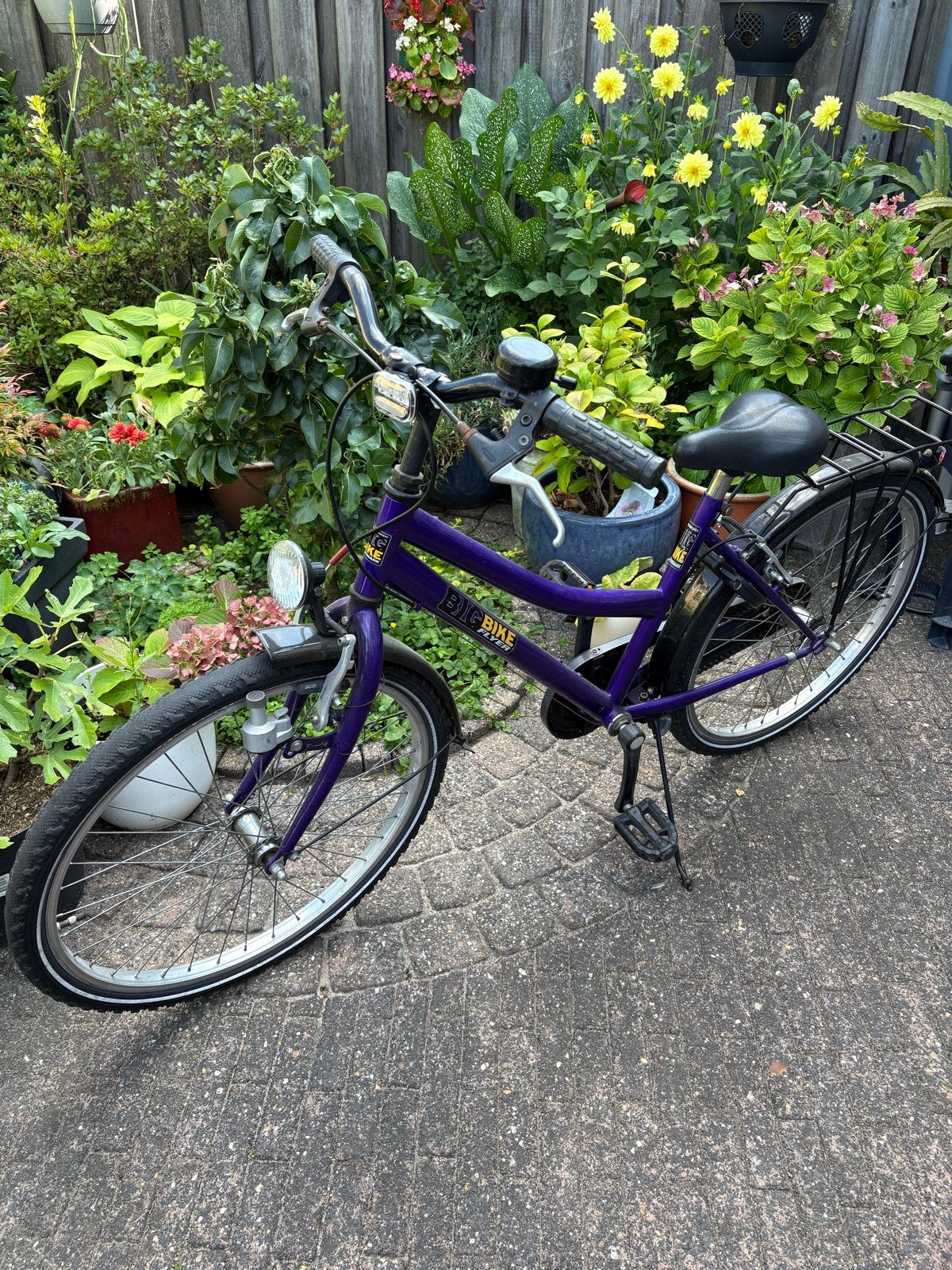 Big Bike kinderfiets, paars, 24 inch, Ophalen, Terugtraprem, Handrem, Gebruikt
