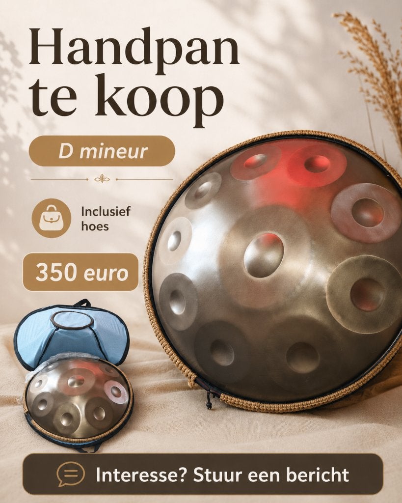 Handpan D Mineur, Ophalen, Zo goed als nieuw, Melodische percussie