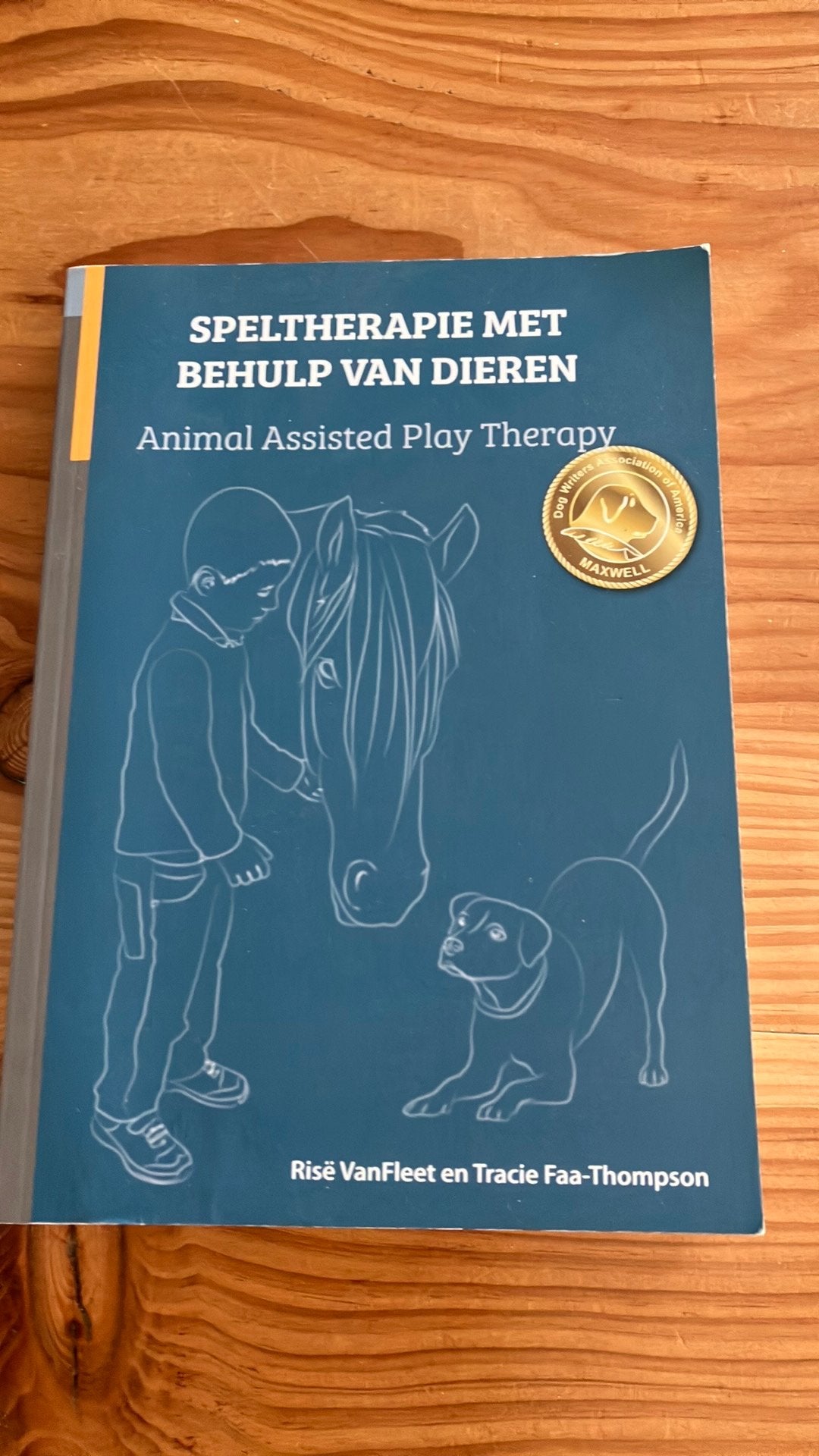 Risë VanFleet - Speltherapie met behulp van dieren, Boeken, Ophalen of Verzenden, Zo goed als nieuw, Risë VanFleet