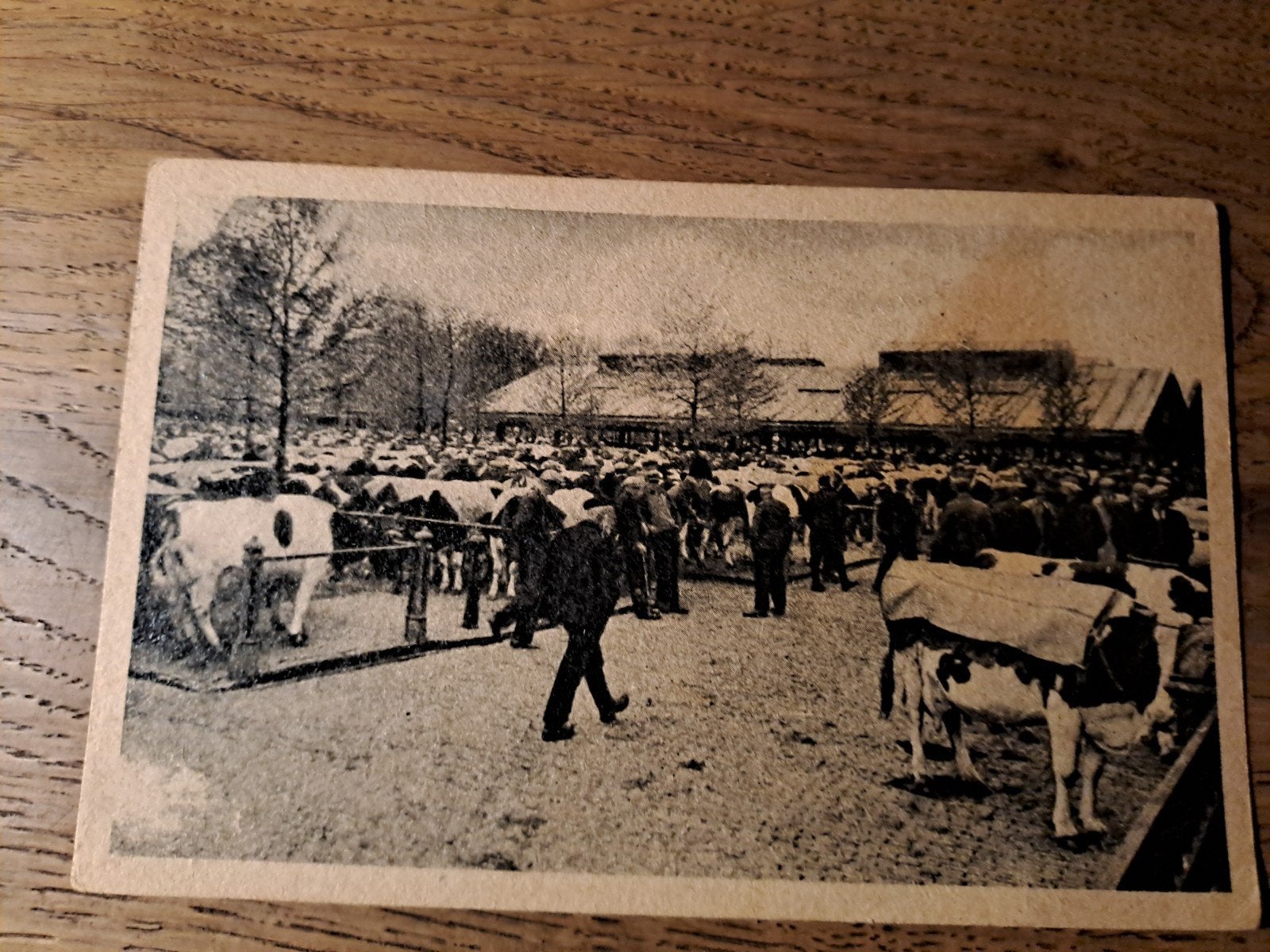Leeuwarden, Verzamelen, Ophalen of Verzenden, Voor 1920, Friesland