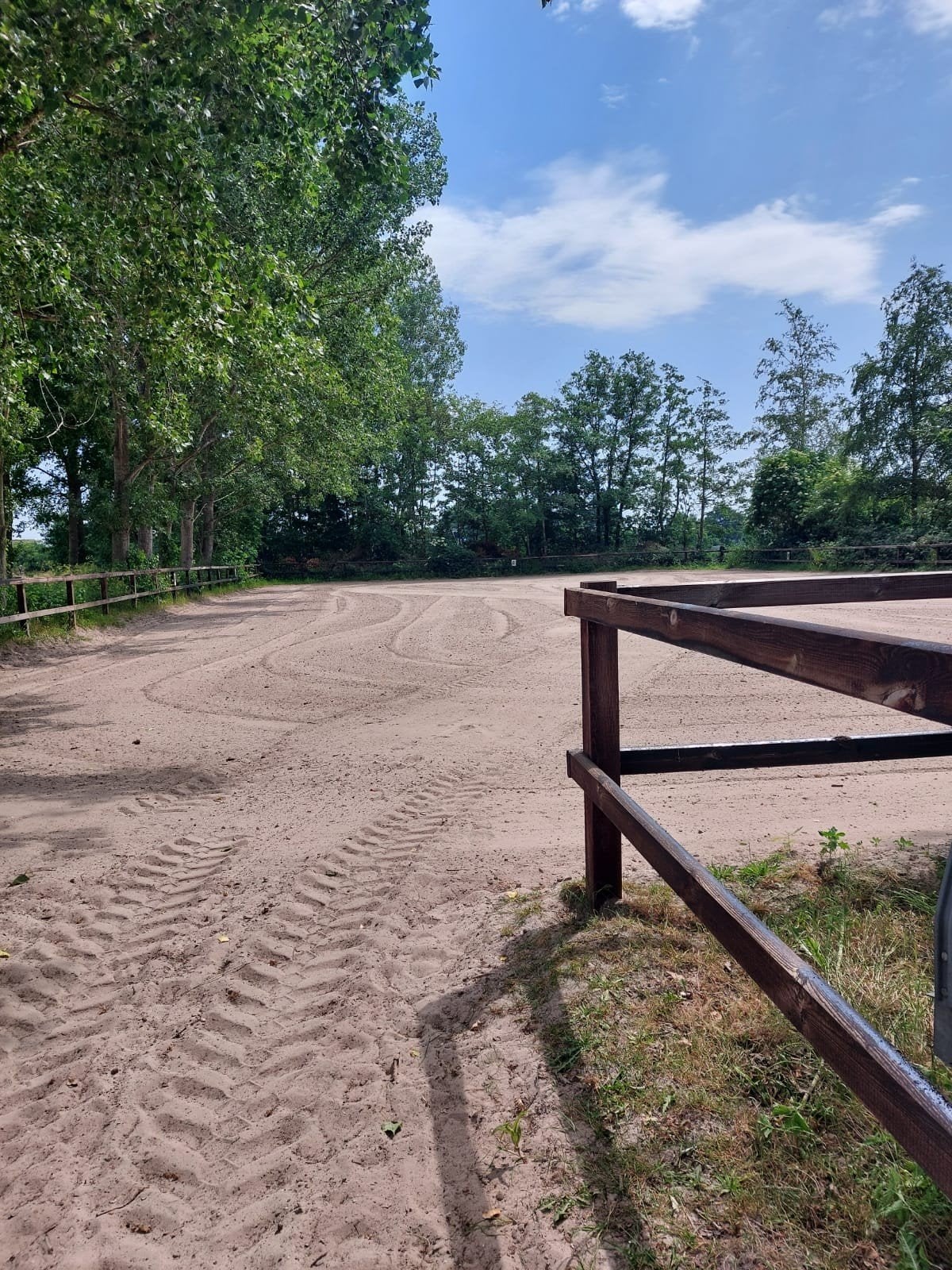 stal aangeboden,  14 boxen  in Putten GLD, Weidegang, 4 paarden of pony's of meer