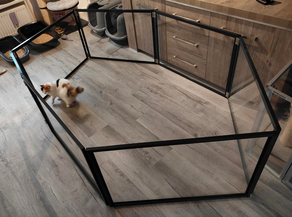 Prachtige zwarte kittenren/puppy/konijn aluminium plexiglas, Ophalen, Zo goed als nieuw