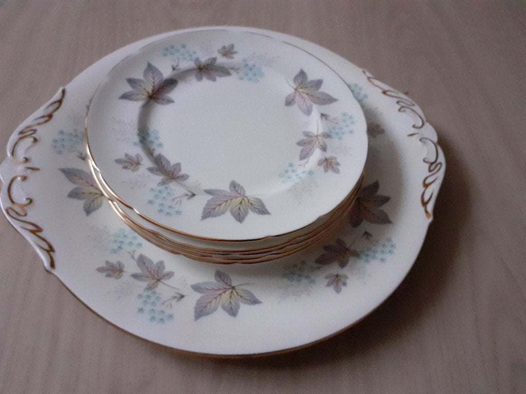 Chique gebaksstel Paragon fine bone China porselein *eureka*, Ophalen of Verzenden