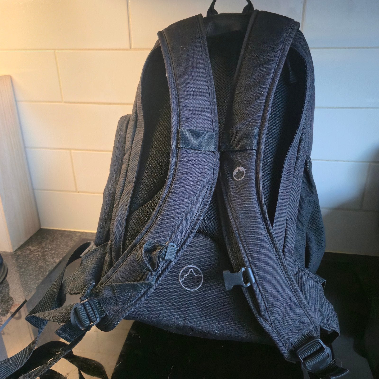 Lowepro Flipside 300 AW Cameratas Rugzak, Rugtas, Ophalen of Verzenden, Statiefbevestiging, Zwart
