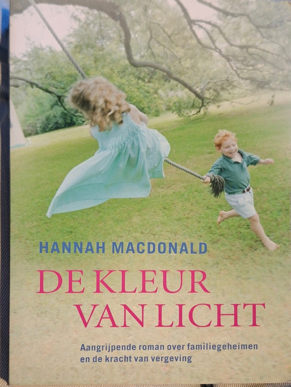 De Kleur van Licht - Hannah Macdonald (Roman), Boeken, Ophalen of Verzenden, Gelezen, Hannah Macdonald, Europa overig