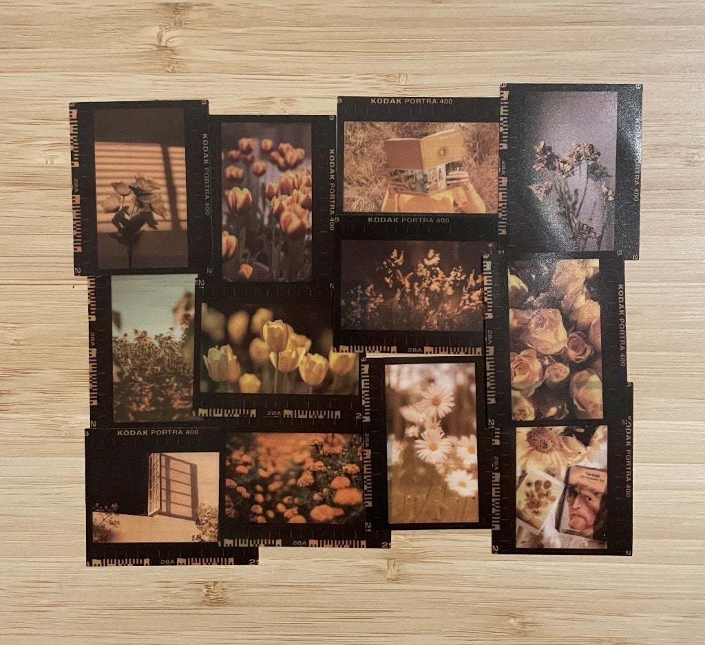 Fotorolletje, Realistiche foto's oranje gele thema stickers, Verzenden, Nieuw, Meerdere stickers