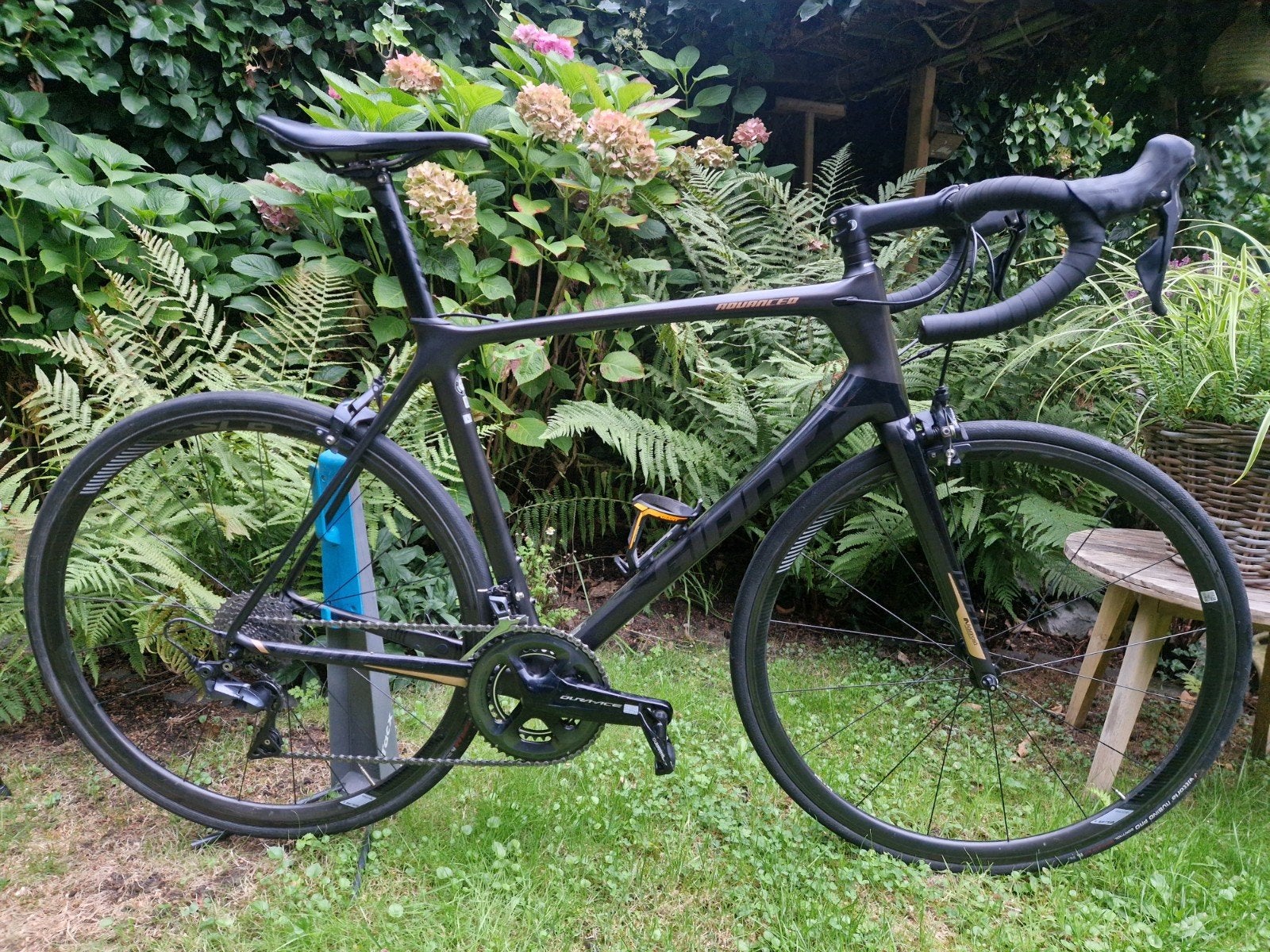 Giant tcr advanced Pro 1 maat L  Dure-ace/Ultegra, Fietsen en Brommers, Carbon, Zo goed als nieuw, 57 tot 61 cm, Meer dan 20 versnellingen
