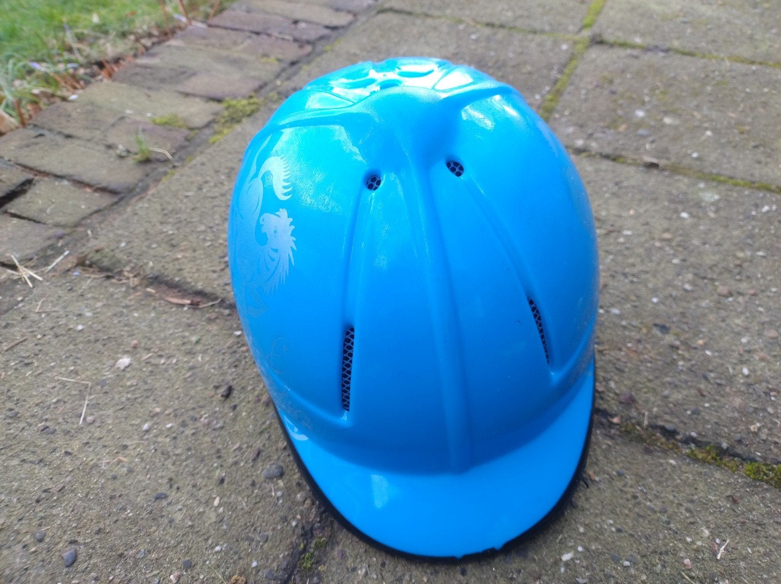 Cap voor kind 7-10 jaar, Dieren en Toebehoren, Ophalen of Verzenden