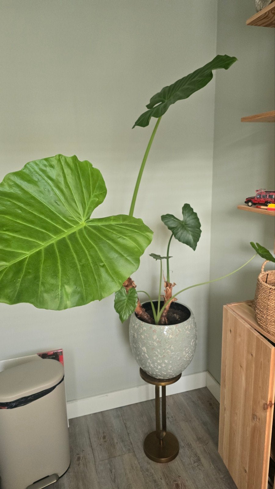 Pot met plant en bijzettafel, Ophalen, Minder dan 55 cm, Gebruikt, Metaal of Aluminium