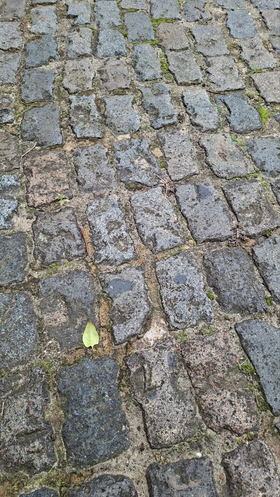 Gebruikte kasseien, Ophalen, Gebruikt, Klinkers, Natuursteen