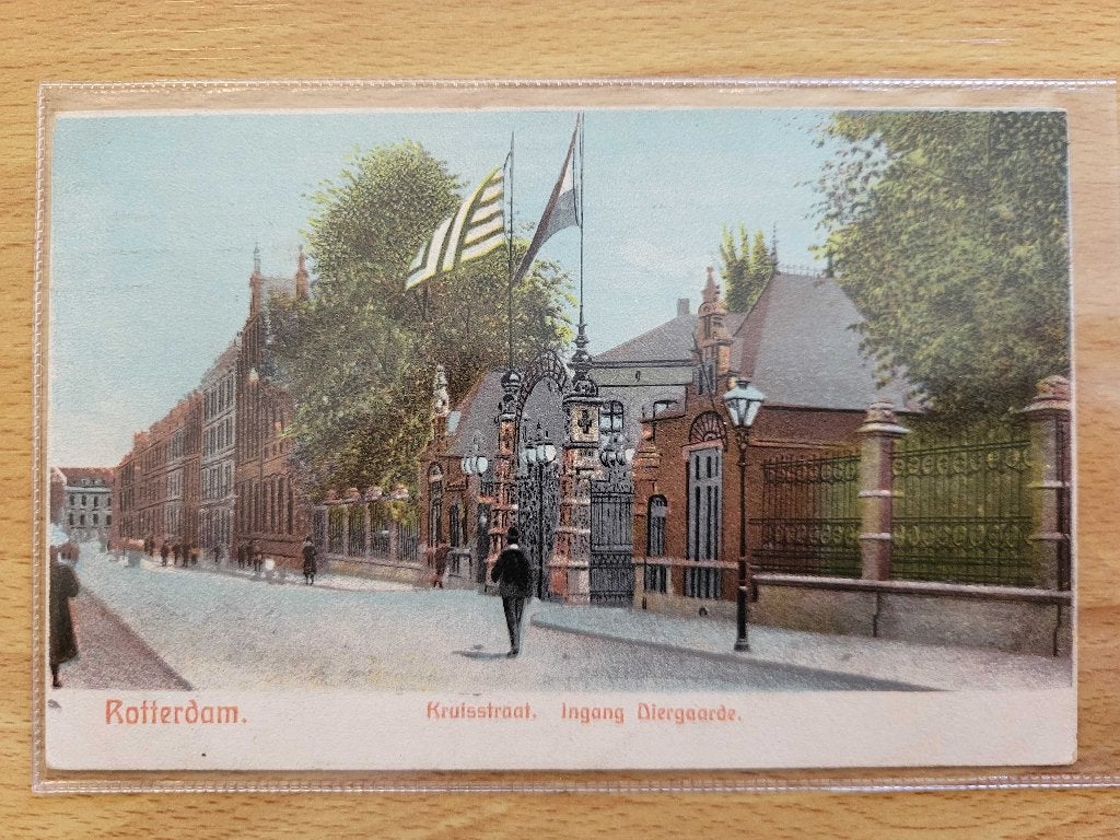 ansicht ROTTERDAM Kruisstraat Diergaard Dierentuin 907, Verzamelen, Ansichtkaarten | Nederland, Zuid-Holland, Voor 1920, Ophalen of Verzenden