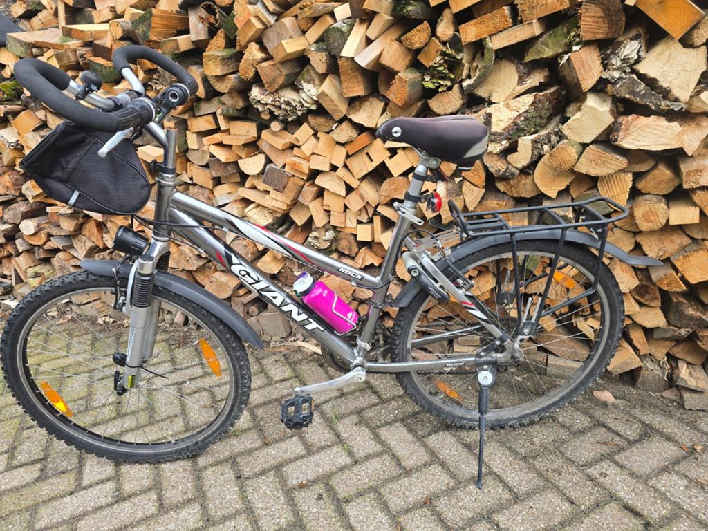 Giant mountainbike, Fietsen en Brommers, Ophalen, Gebruikt, 26 inch, Giant