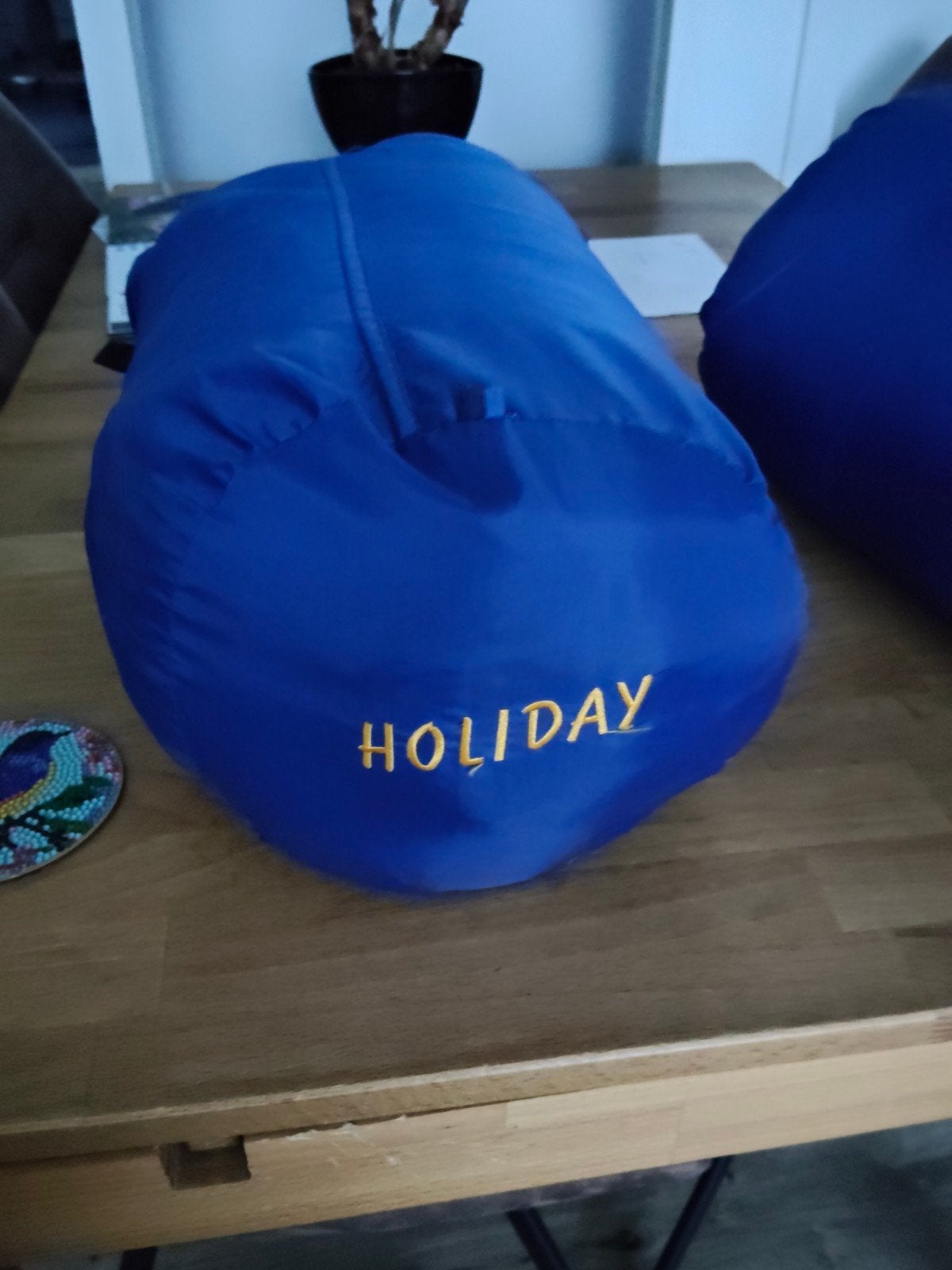 2x Holiday slaapzak, Caravans en Kamperen, Slaapzakken, Ophalen