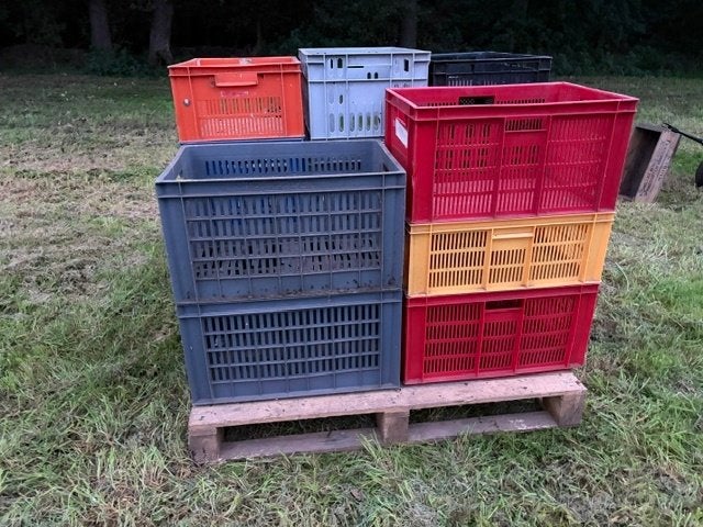 Plastic kratten, Ophalen, Gebruikt, 40 tot 60 cm, Overige typen