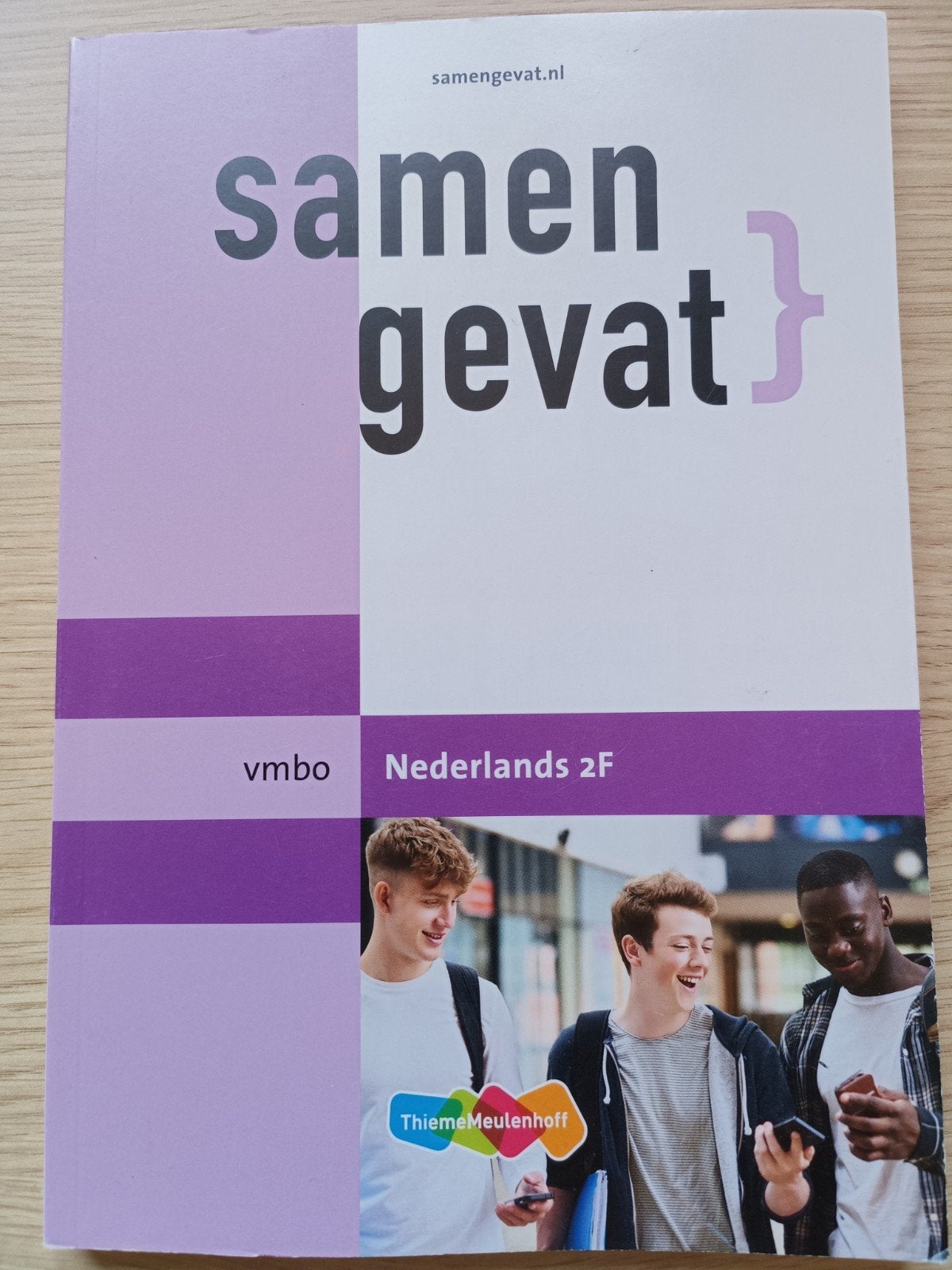 Samengevat Nederlands 2F VMBO - ThiemoMeulenhoff, Boeken, Schoolboeken, VMBO, ThiemoMeulenhoff, Ophalen of Verzenden, Zo goed als nieuw