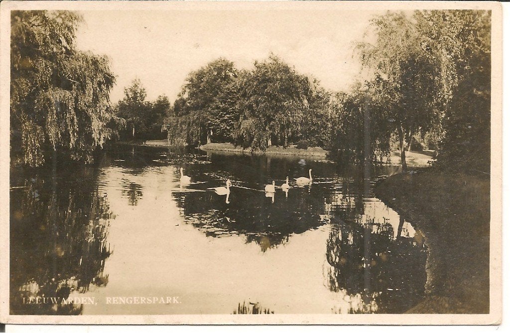 Ansichtkaart Leeuwarden Rengerspark met zwanen, Ophalen of Verzenden, 1940 tot 1960, Ongelopen, Friesland