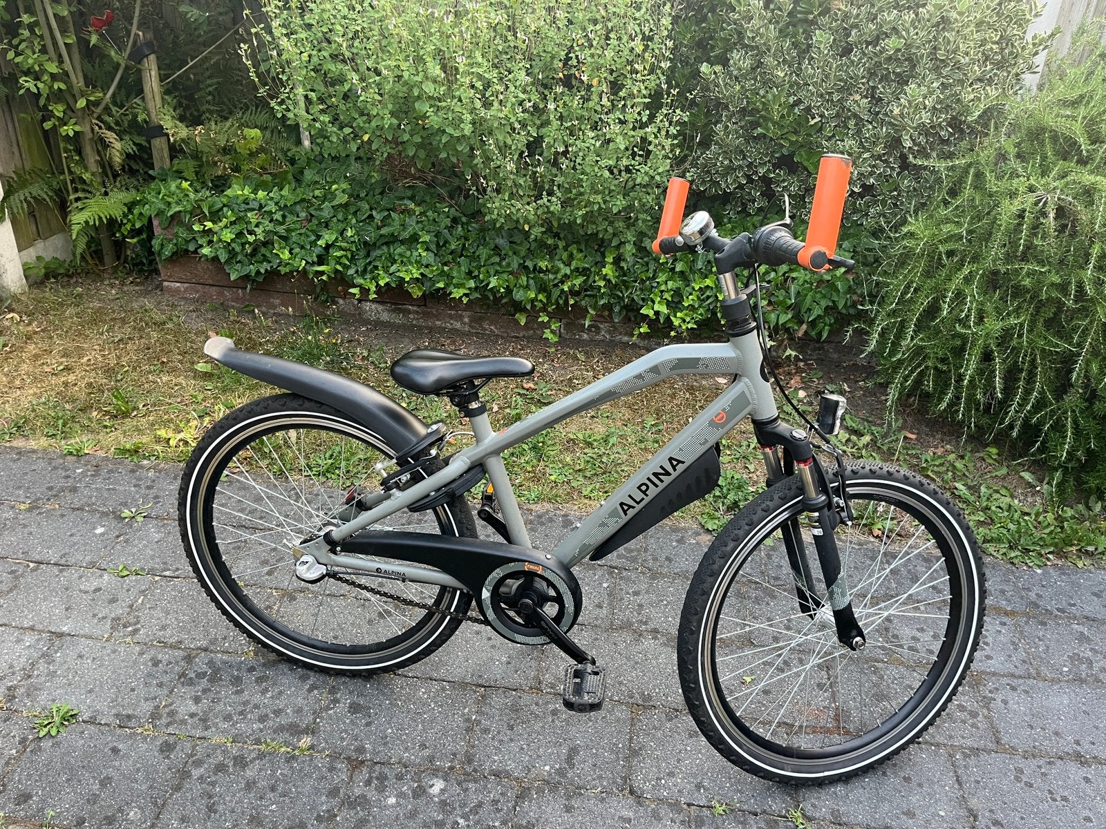 Alpina Trail jongensfiets 24 inch, Ophalen, Gebruikt, Terugtraprem, Alpina Trial