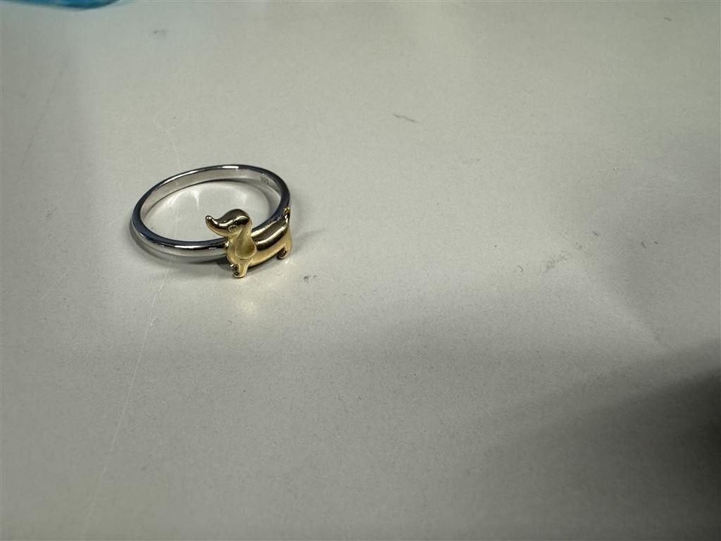 Hondenring Maat R - Platina Goud Overlay 925 Sterling Zilver, 20 of groter, Ophalen of Verzenden, Zo goed als nieuw, Dame