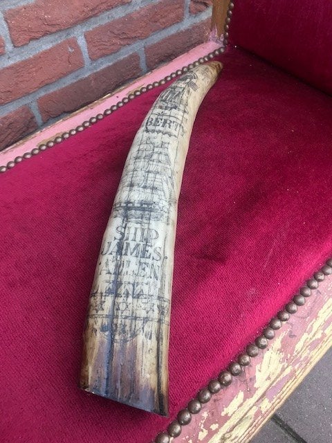 fraaie scrimshaw, replica, Ophalen of Verzenden