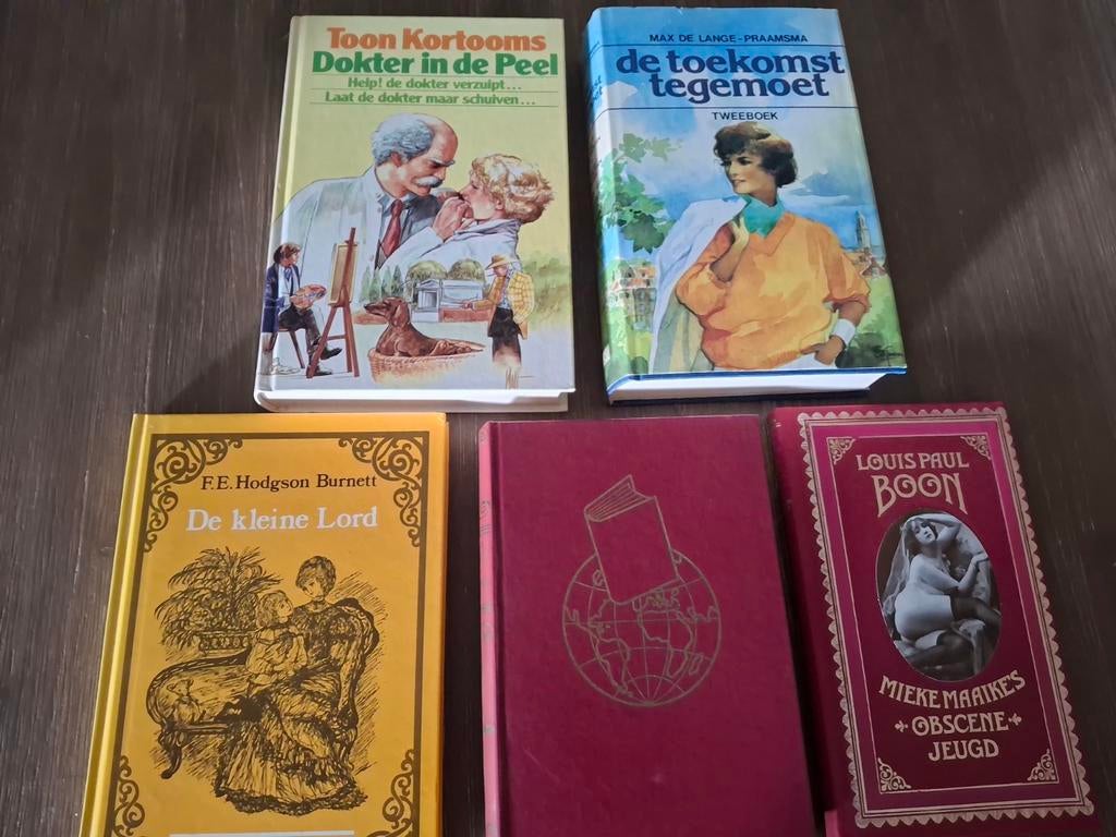 Diverse boeken: Toon Kortooms, Louis Paul Boon, F.E. Hodgson, Boeken, Ophalen, Gelezen, Toon Kortooms, Louis Paul Boon, F.E. Hodgson Burnett