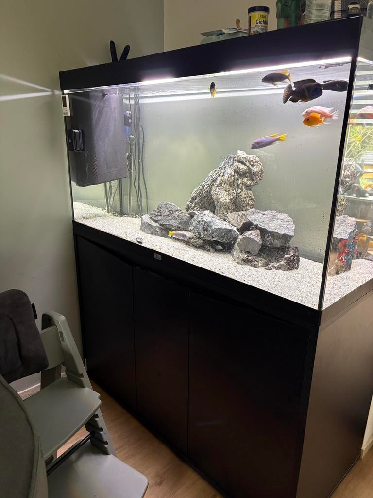 Aquatlantis volga 350 inclusief chicliden, Dieren en Toebehoren, Ophalen, Gevuld zoetwateraquarium
