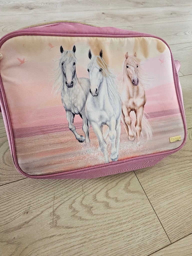 Schooltas, Sieraden, Tassen en Uiterlijk, Ophalen, 40 tot 50 cm, Zo goed als nieuw, Roze
