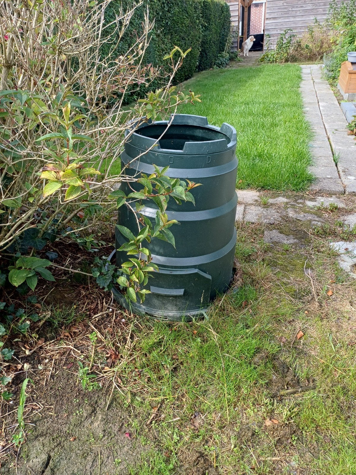 compost vat groen., Ophalen, Compost