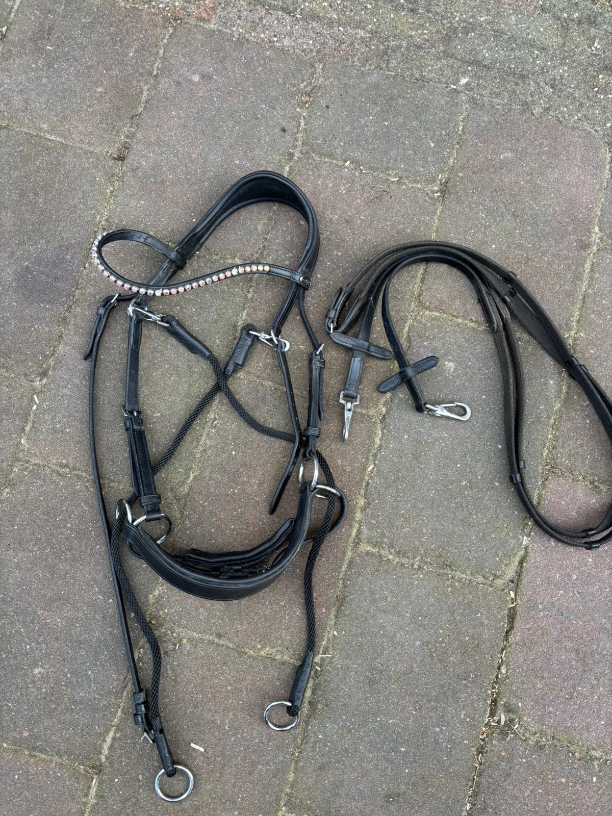 Bitloos hoofdstel, Recreatie, Ophalen of Verzenden, Zwart, Hoofdstel