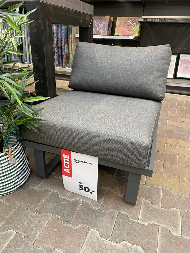 Intratuin Tussen stuk thom / grijze lounge stoel, Ophalen, Zo goed als nieuw, Metaal, Eén