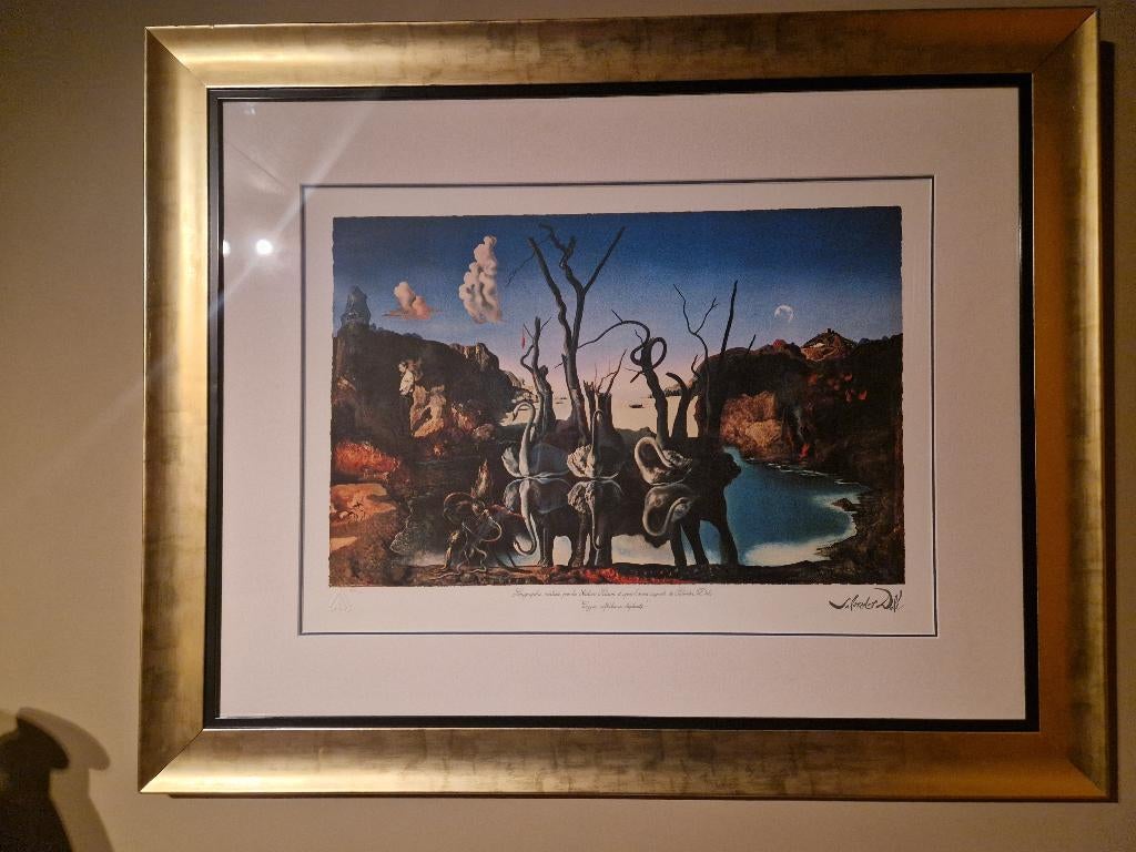 Salvador Dali " Reflection Of Elephants", Ophalen of Verzenden