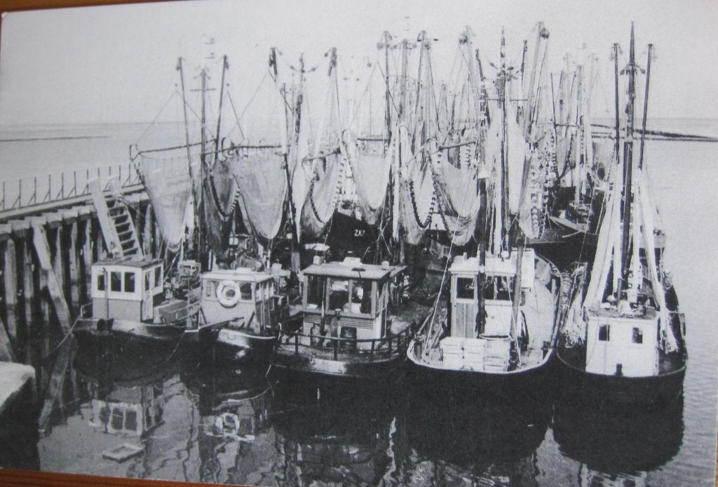 garnalenkotters in Zoutkamp - nieuwe ansichtkaart, Verzenden, 1980 tot heden, Ongelopen, Overige thema's