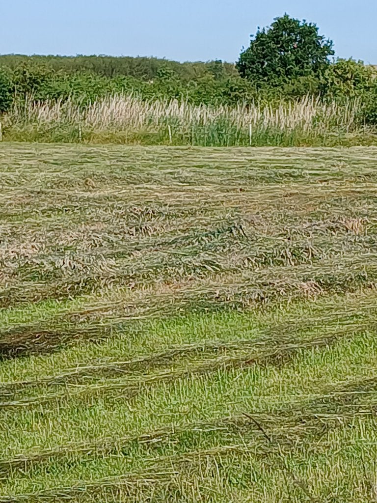 Kleine pakken hooi, Ophalen, Vee
