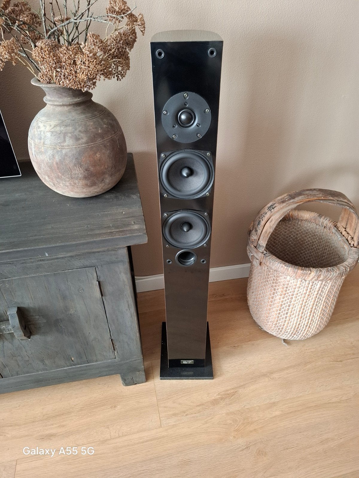 Millon Cobra IV S Vloerstaande Luidspreker - Zwart, Audio, Tv en Foto, Luidsprekers, Zo goed als nieuw, Front, Rear of Stereo speakers