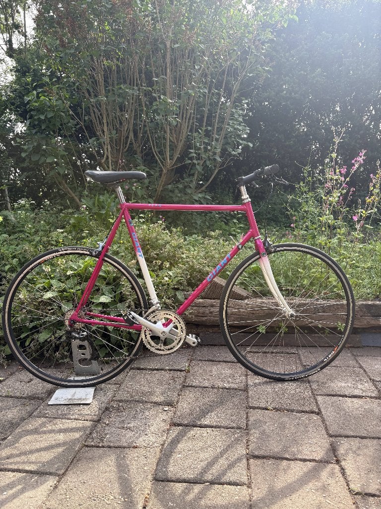Giant Vintage racefiets maat 60, Ophalen, 28 inch, Staal, Heren