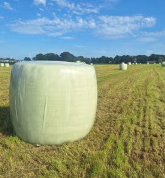 grote balen hooi., Dieren en Toebehoren, Ophalen of Verzenden, Vee