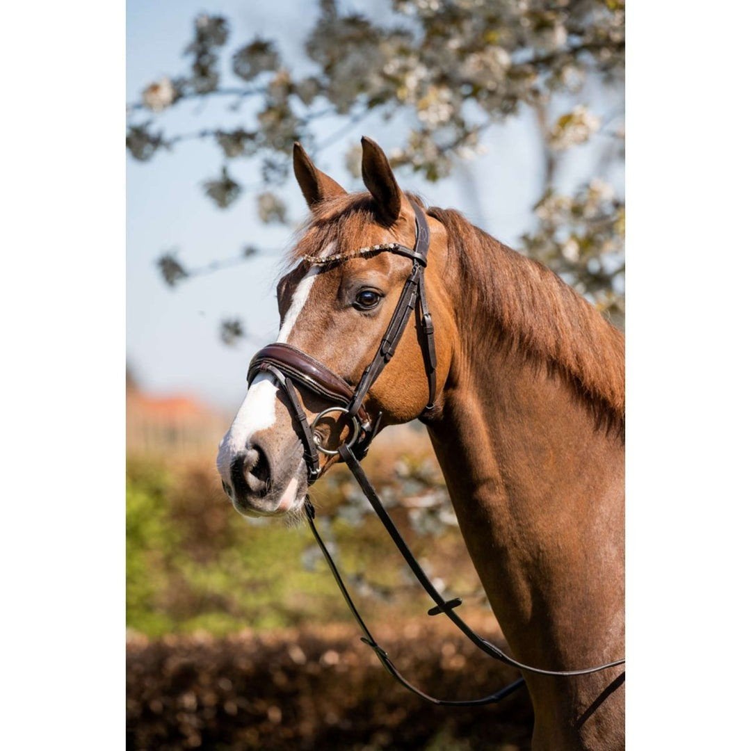 nieuw HB Showtime hoofdstel maat FULL, Dieren en Toebehoren, Hoofdstel, Bruin, Nieuw, Ophalen of Verzenden