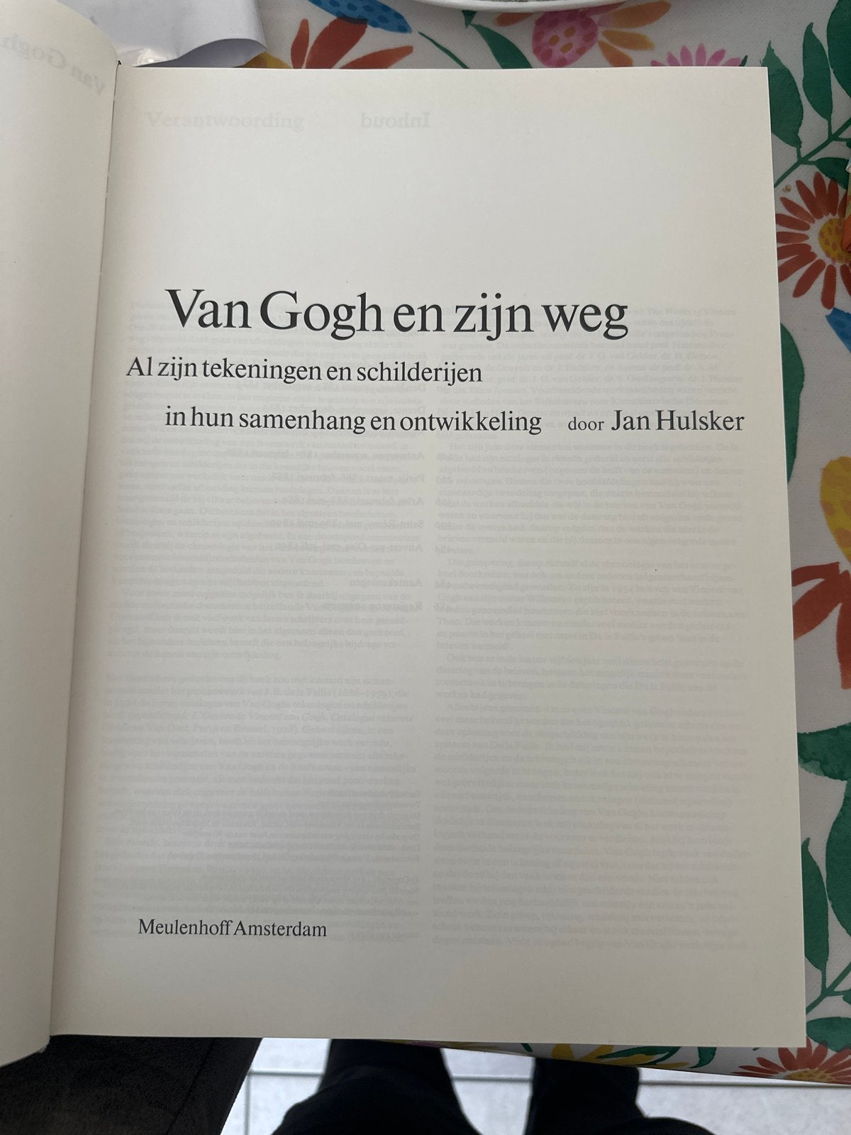Van Gogh en zijn weg - Tekeningen en schilderijen, Ophalen of Verzenden, Gelezen, Schilder- en Tekenkunst