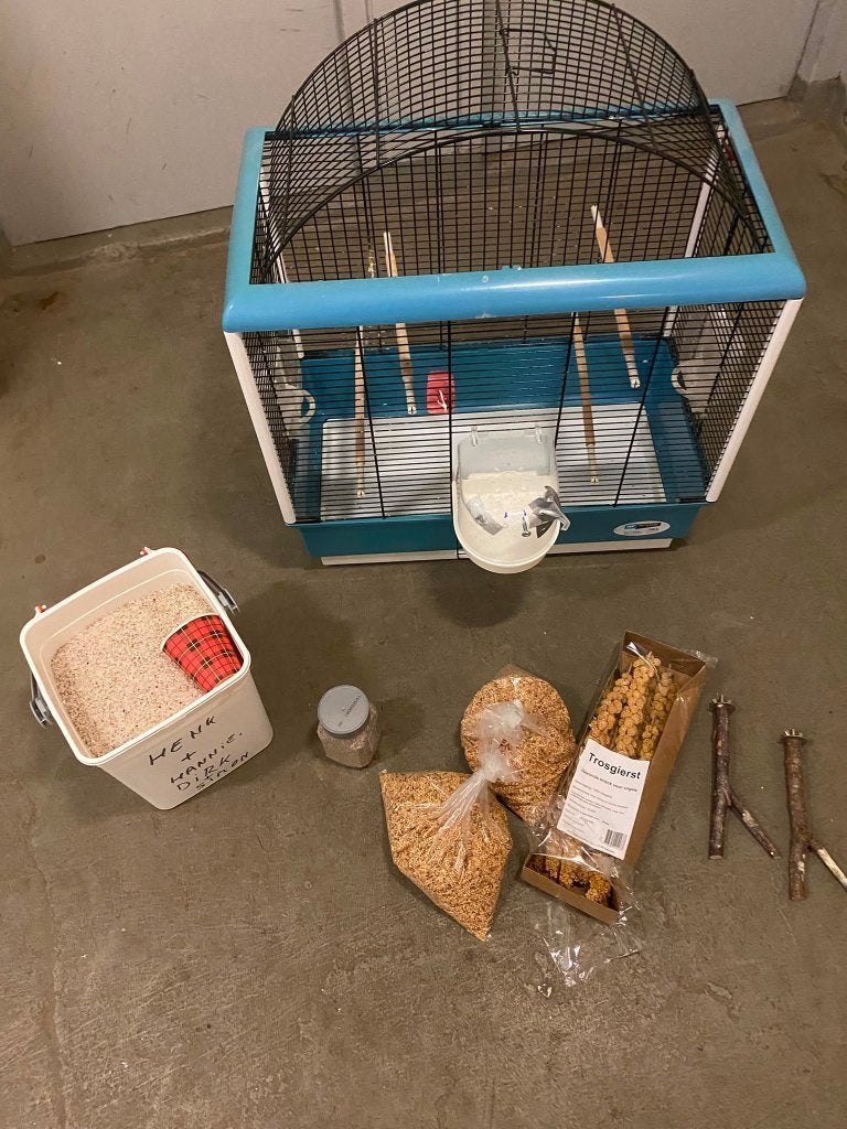 Vogelkooi, Ophalen, Gebruikt, Metaal, Vogelkooi