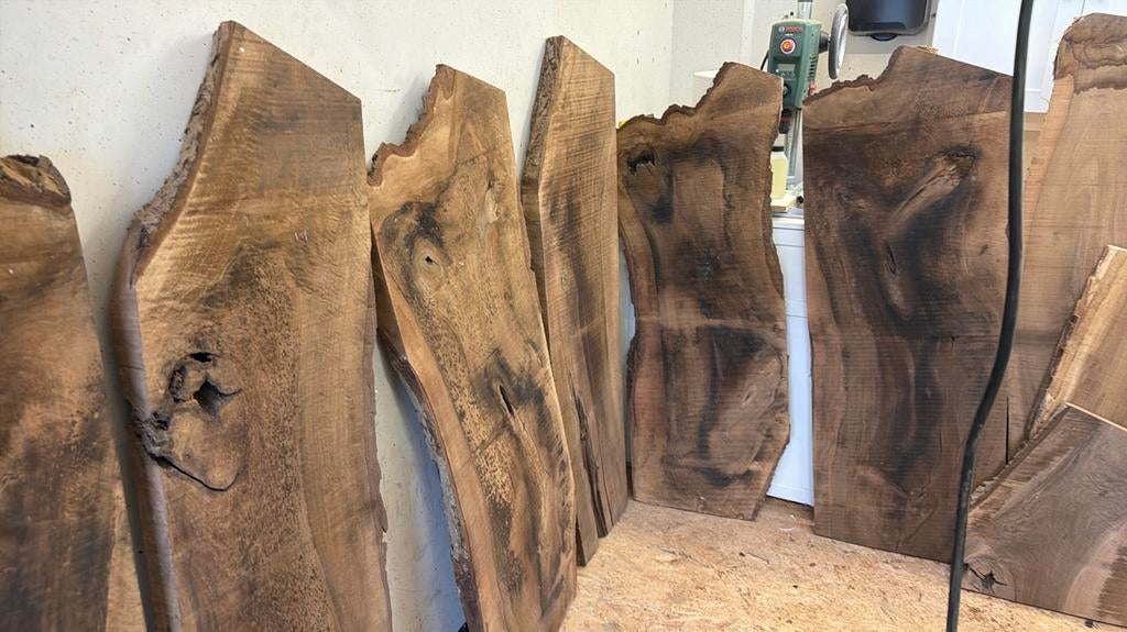 Gedroogde Walnoot Boomstambladen - Uniek voor Meubels, Doe-het-zelf en Verbouw, Ophalen, Gebruikt, Plank, 50 mm of meer