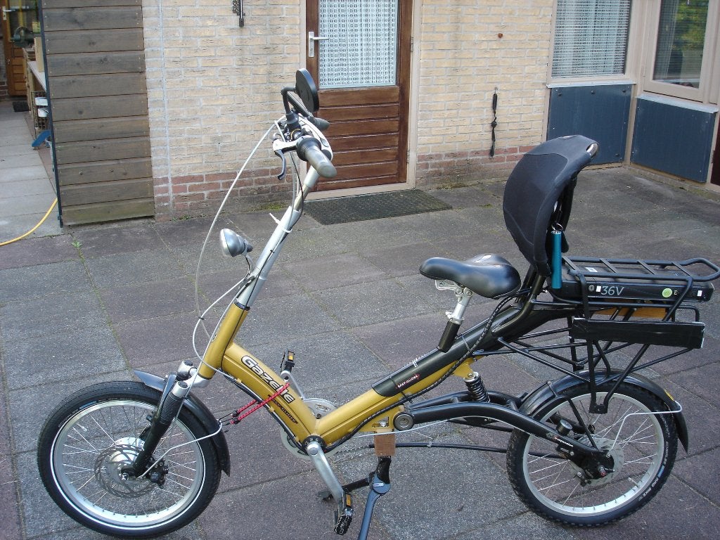 Gazelle Easy Glider E bike professioneel omgebouwd., Ophalen, Gebruikt, Gazelle