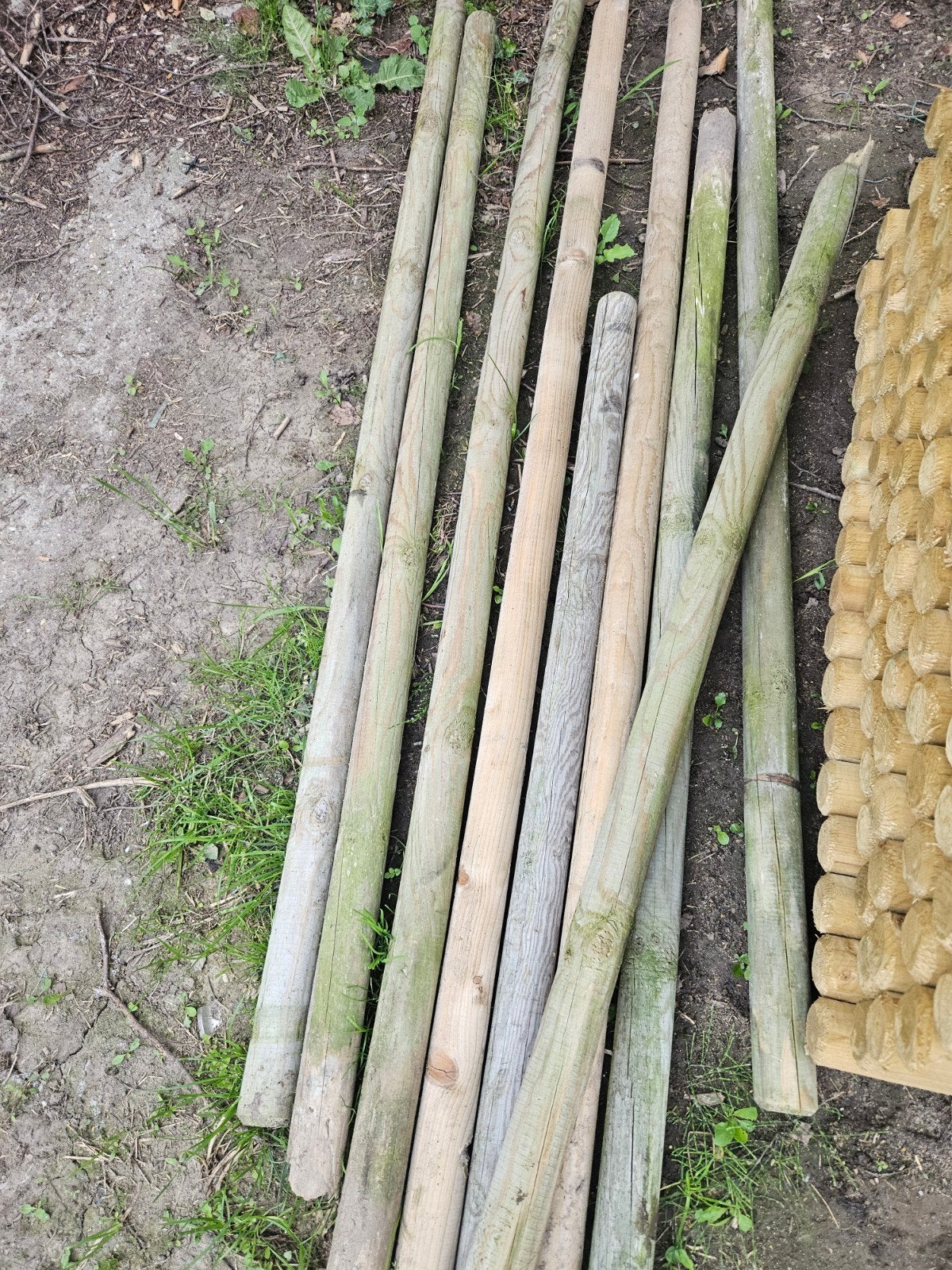 23 oude boompalen ca 150 tot 200 cm, Ophalen, Gebruikt, 180 tot 250 cm, Palen