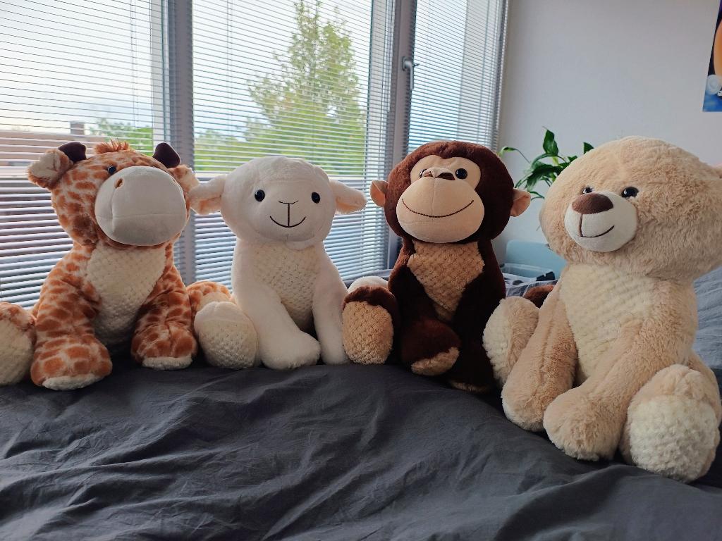 Knuffels, Ophalen, Zo goed als nieuw, Overige typen