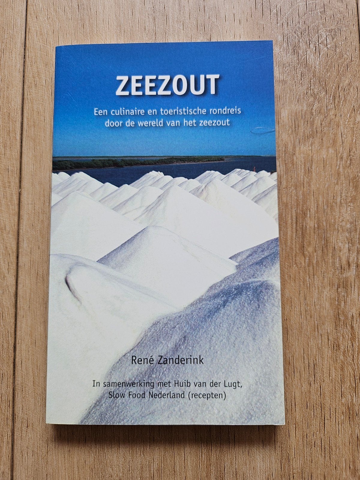 Zeezout, een culinaire en toeristische rondreis - R Zanderik, Overige typen, Ophalen of Verzenden, Zo goed als nieuw, René Zanderik