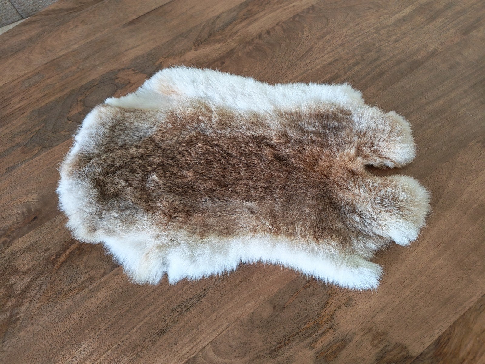 Konijnenbont voor decoratie, Ophalen of Verzenden, Gebruikt, Meerkleurig, Natuurlijk materiaal