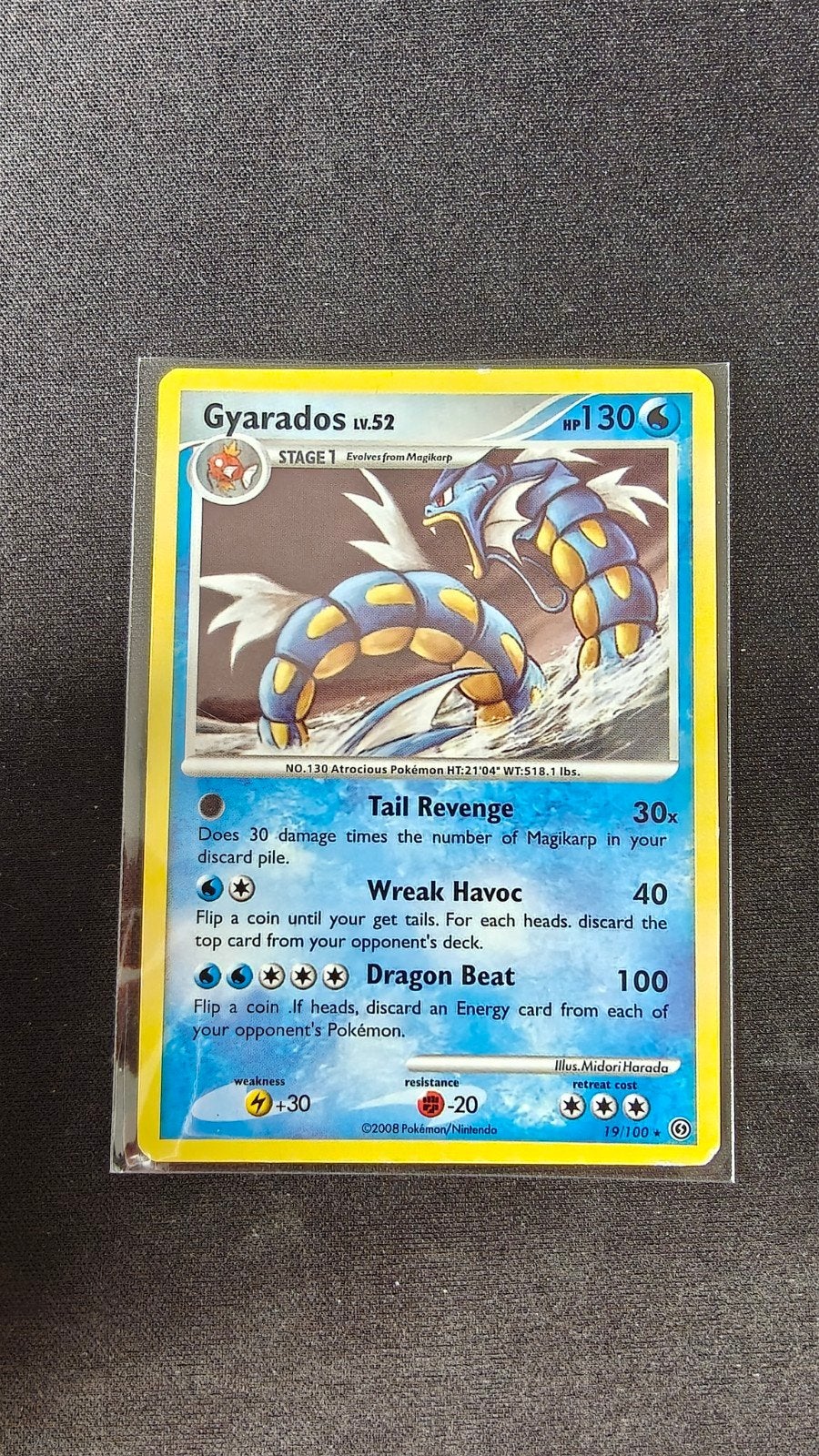 Gyarados - Storefront (Good), Ophalen of Verzenden, Gebruikt