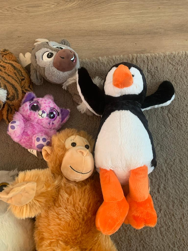 Grote collectie knuffels, diverse soorten en maten, Kinderen en Baby's, Speelgoed | Knuffels en Pluche, Gebruikt, Overige karakters