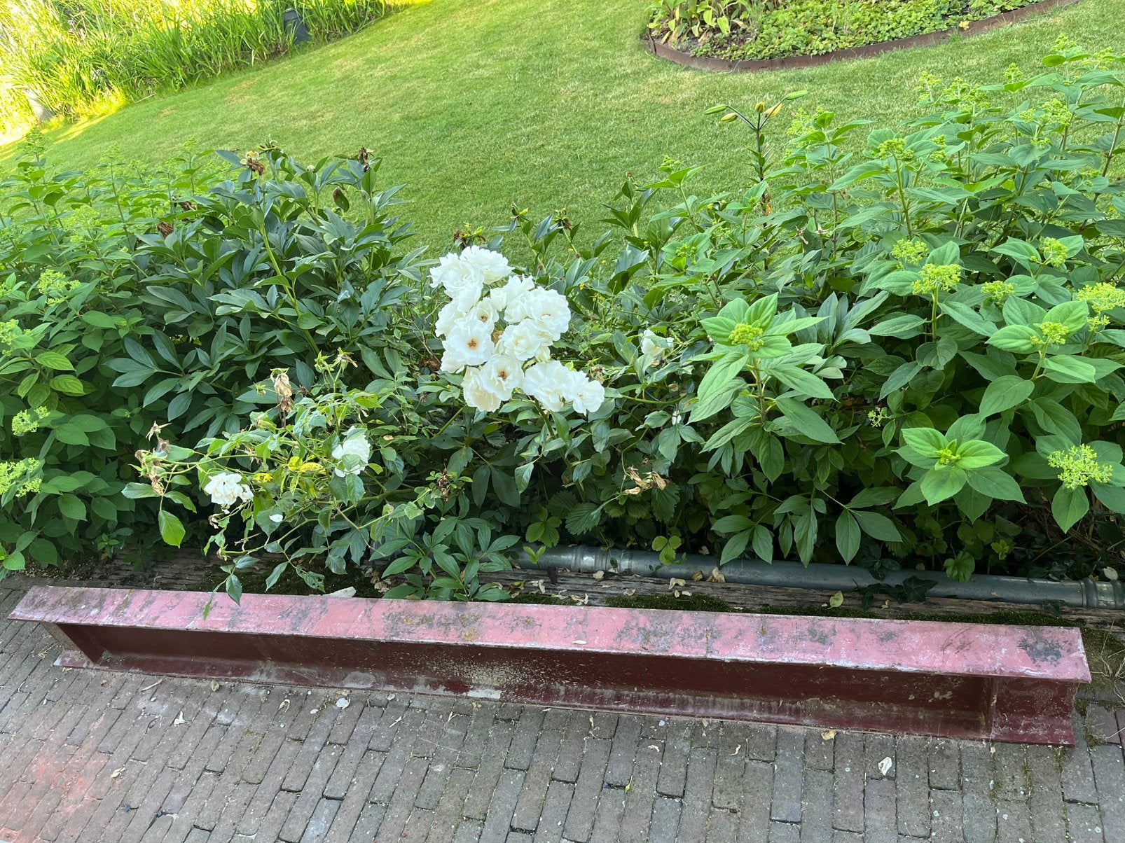 2x stalen constructie balk H profiel, Doe-het-zelf en Verbouw, Ophalen, Gebruikt