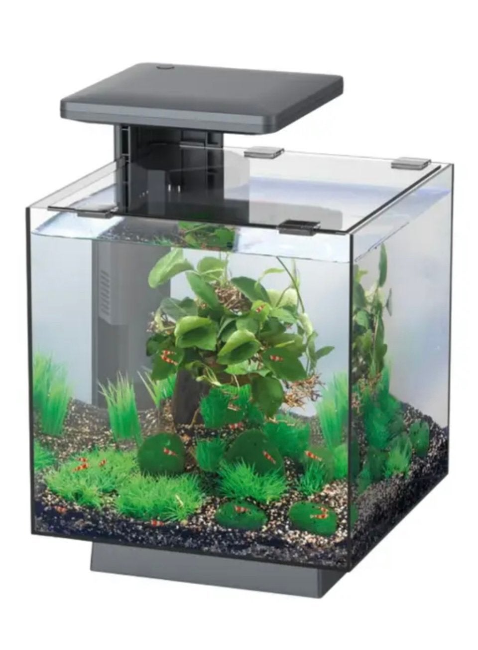 Superfish Qubiq 30 Pro nano aquarium, Ophalen, Zo goed als nieuw, Leeg aquarium, Superfish