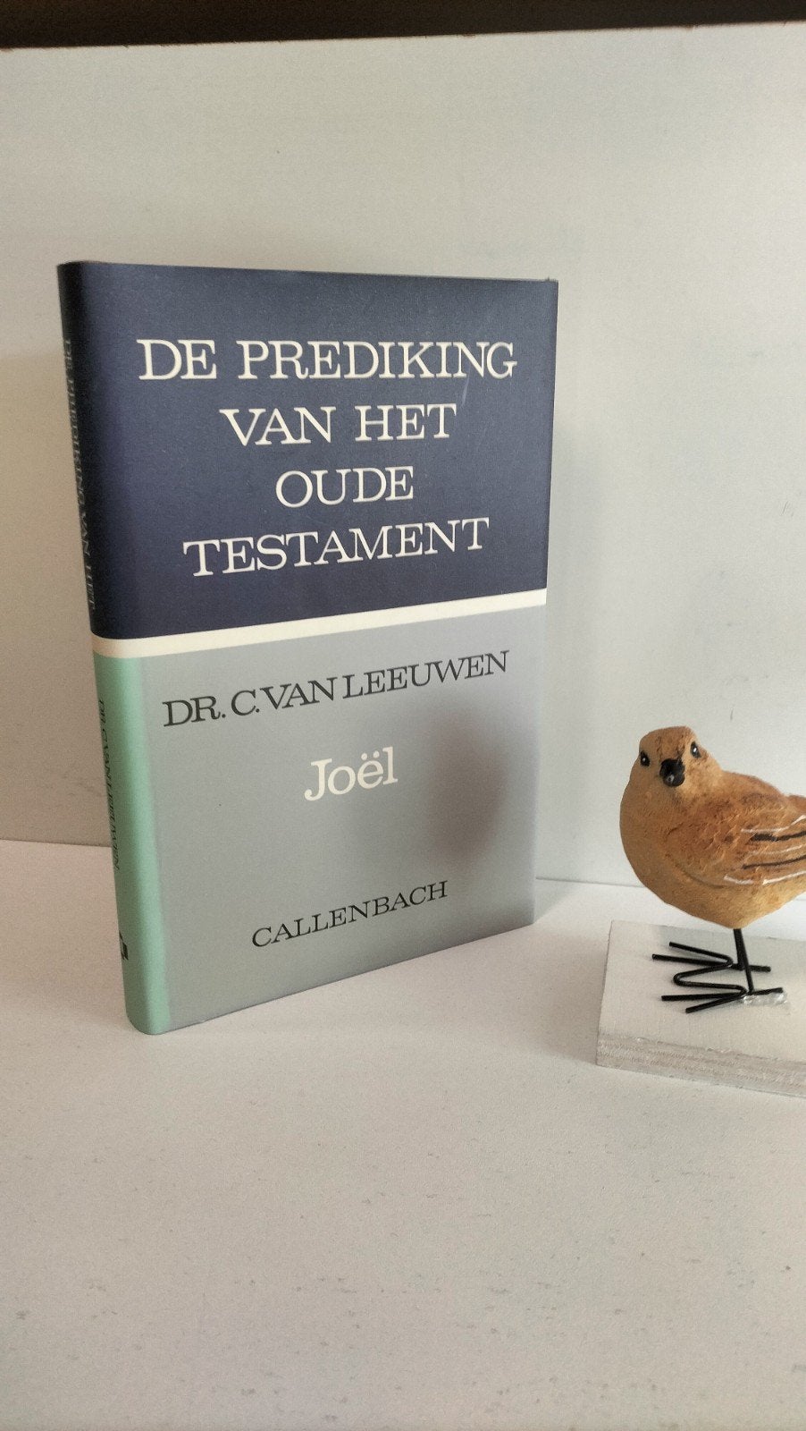 Leeuwen, Dr. C. van; Joël  POT, Boeken, Ophalen of Verzenden, Gelezen, Christendom | Protestants