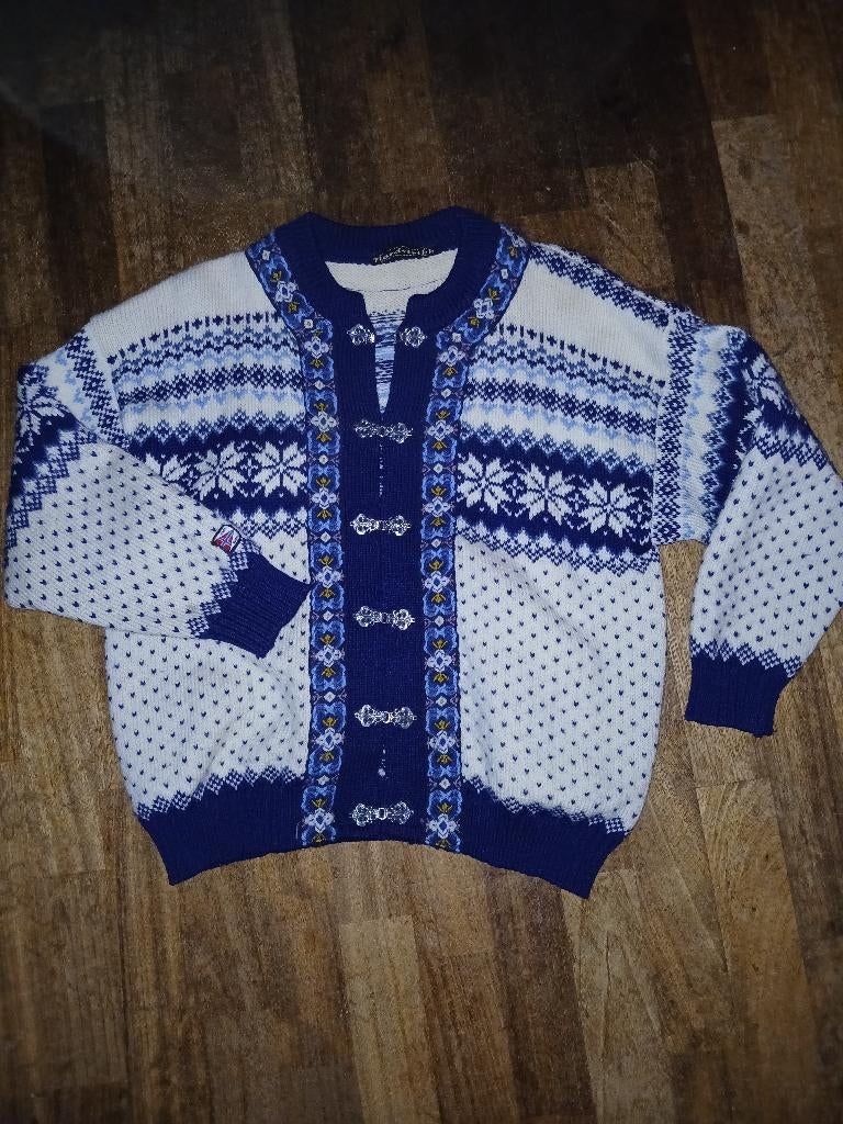 noors vest, Kleding | Dames, Ophalen of Verzenden, Gedragen, Blauw
